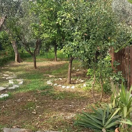 Fralu * Mattinata