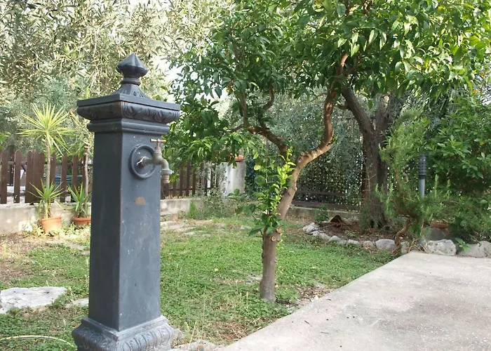 Fralu *